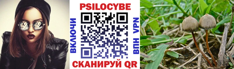 Псилоцибиновые грибы ЛСД  Купить где  Мегион 